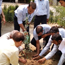 5000 Plants To Expand Green Cover Sanjeevani Project By Mobius Foundation